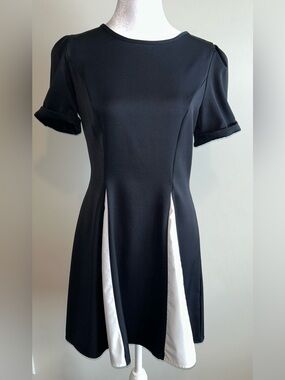 Black Dress with White Inset Panels
